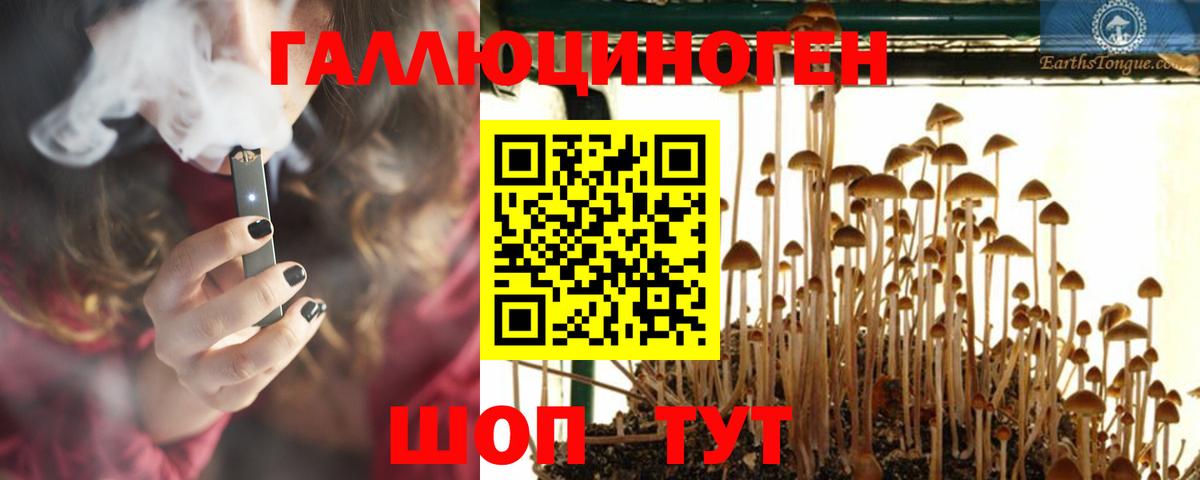 Отрадный  Псилоцибиновые грибы GOLDEN TEACHER  Вход с VPN 