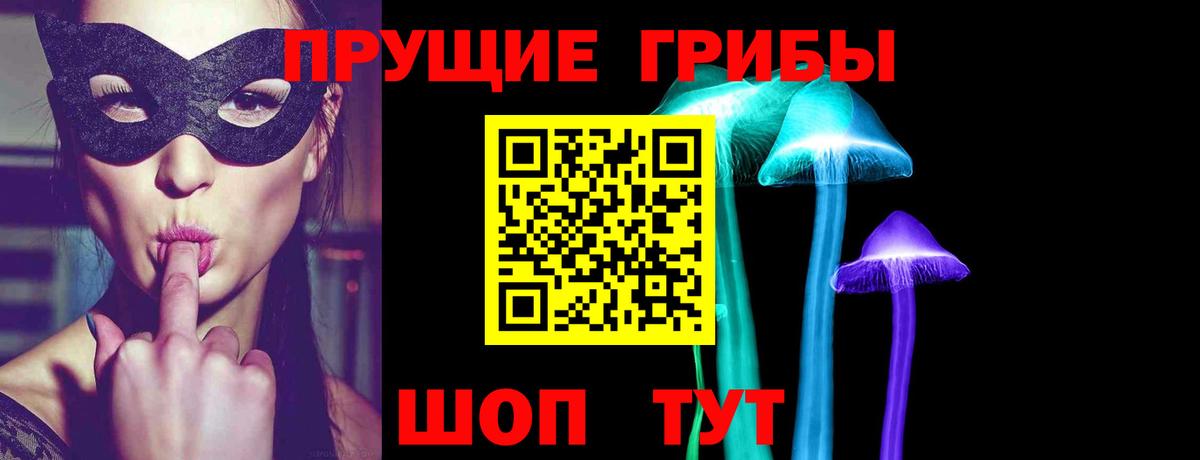 Псилоцибиновые грибы мицелий Отрадный